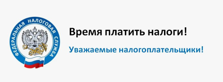 Какие последствия влечет неуплата налогов в срок. Какие последствия влечет неуплата налогов в срок.