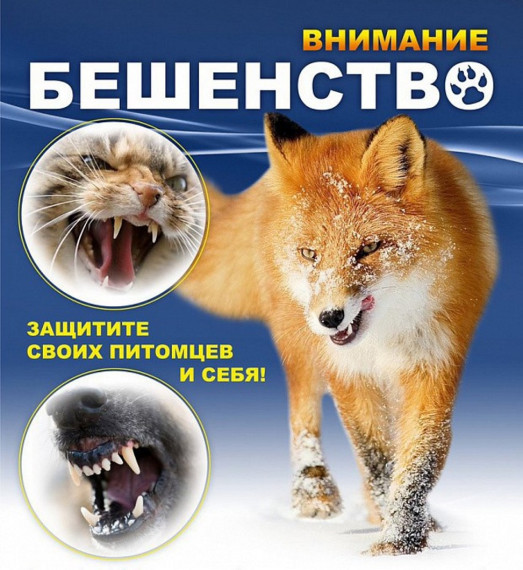 Внимание! Бешенство животных. Внимание! Бешенство животных.